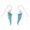 Southwestern Turquoise And Silver Hook Dangle Earrings YX78817